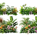 Lush Plant Combinations With Tropical Green Leaves Colorful Flowers And Ferns For Decorative Design
