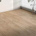 Light Colored Wooden Flooring In Modern Interior With Natural Light And Potted Plant