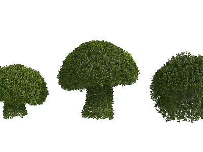 Three Trimmed Green Shrubs With Varied Shapes And Lush Foliage For Landscaping 3d model