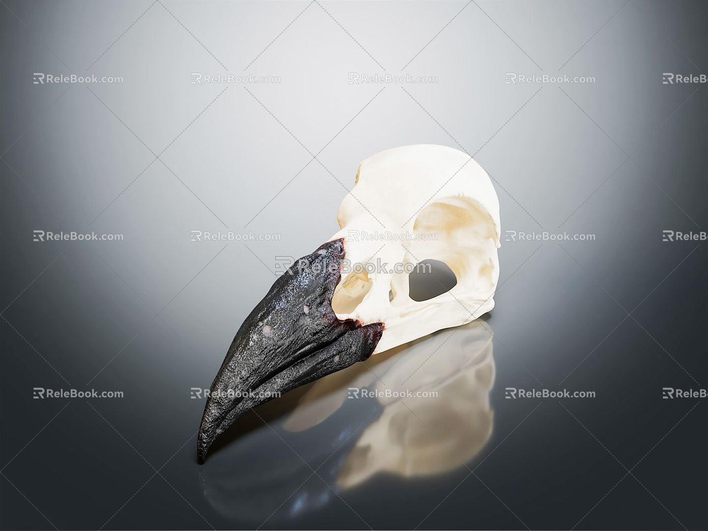 Modern skull The skull of the raven 3d model