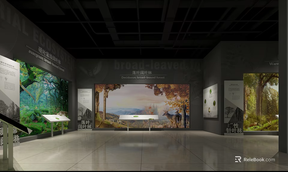 Cultural Center Exhibition Interior With Scenic Murals Display Tables And Information Panels 3d model 