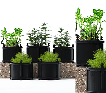 American potted plant decoration combination 3d model