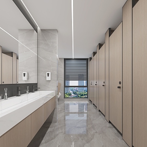 Public Toilet Shopping Mall Toilet Hotel Toilet Sales Department Toilet Office Building Public Toilet Public Toilet 3d model