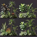 Diverse Indoor Plant Combinations With Tropical Palms Large Leaves And Ferns