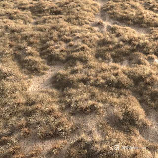 Dry Tan Grass on Sandy Ground with Varying Heights in Arid Area Covering Sparse Landscape 3d model 