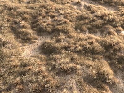 modern grassland desert grassland 3d model