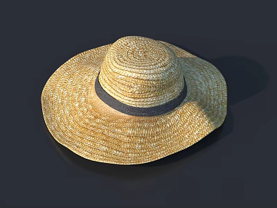 Wide Brim Straw Hat With Dark Ribbon Band In Woven Material Design 3d model