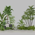 Garden Landscape With Various Green Plants Palm Trees And White Pebbles On Light Gray Platform