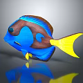 Vibrant Blue And Brown Fish With Yellow Tail And Reflective Surface