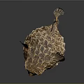 Detailed Inflated Spotted Puffer Fish With Sharp Spines On Dark Background