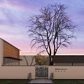 Boutique Homestay Building With Large Tree Stone Entrance And Purple Sunset Sky