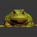 Vibrant Iridescent Frog With Shiny Yellow Green Spots On Dark Background
