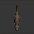 Detailed 3D Lizard Model With Open Mouth Sharp Teeth And Colorful Skin On Gray Background