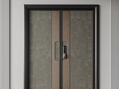 Modern Double Door With Black Frame Textured Panel And Wooden Accent 3d model