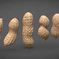 Fresh Whole Peanuts With Various Sizes And Shapes Arranged On Gray Background