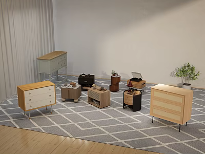 Modern Entryway Cabinets And Side Cabinets With Wooden Design Metal Legs And Geometric Rug 3d model