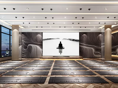 Modern Yoga Fitness Practice Room With Aligned Yoga Mats For Healthy Workout 3d model
