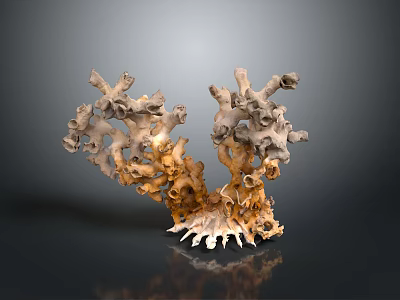 Diverse Aquatic Animals Thrive In Vibrant Coral Reef Marine Ecosystem Habitat 3d model Diverse Aquatic Animals Thrive In Vibrant Coral Reef Marine Ecosystem Habitat 3d model