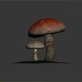 Fresh Wild Mushrooms with Red Cap White Spots and Small Gray One on Mossy Ground
