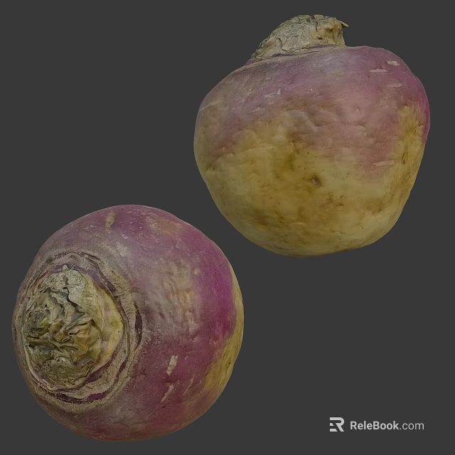 Fresh Purple And Yellow Turnips With Natural Surface Texture And Healthy Appearance 3d model 