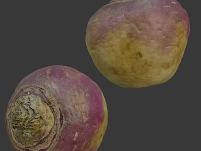 Fresh Purple And Yellow Turnips With Natural Surface Texture And Healthy Appearance 3d model