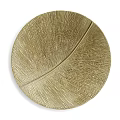 Golden Circular Textured Wall Decor With Feather Inspired Pattern And Radiant Lines 3d model