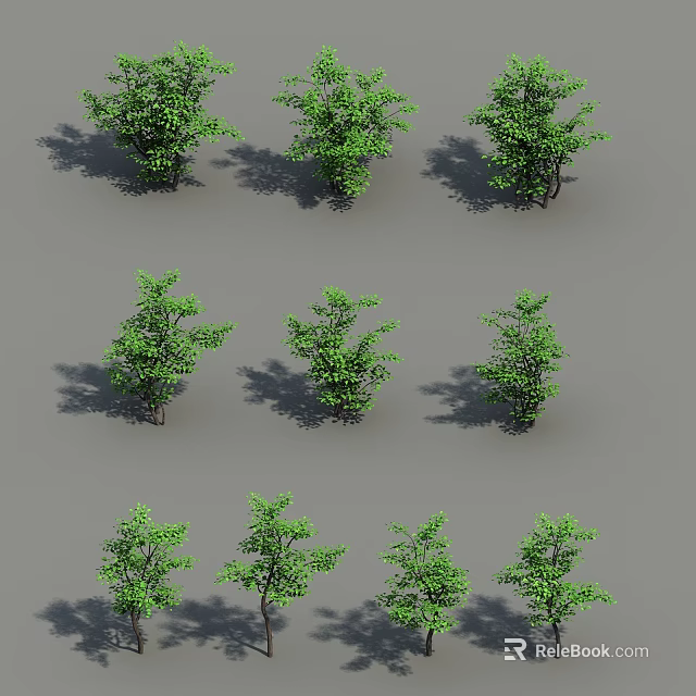 Multiple Green Arbor Trees With Various Forms And Shadows On Gray Background 3d model