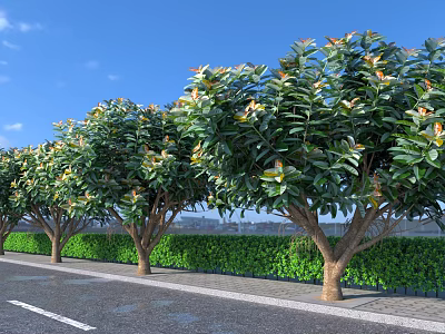 Lush Arbor Trees With Green And Yellow Leaves Along Sidewalk Under Blue Sky 3d model