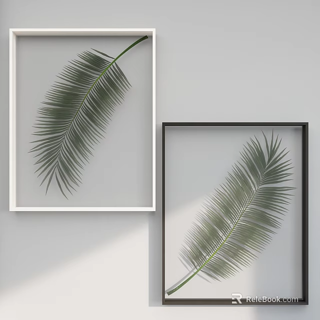 Stylish White and Black Picture Frames with Palm Leaf Prints on Wall 3d model