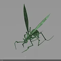 Green Insect Model With Shiny Surface Long Legs And Wings On Dark Background 3d model