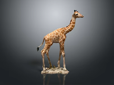 Giraffe Low Model Giraffe African Animal Toy Giraffe Muppet Toy Animal Cartoon Giraffe 3d model