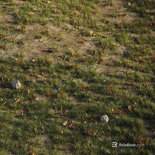 Natural Green Grass Area With Brown Fallen Leaves And Scattered Stones 3d model 