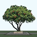 Lush Green Tree with Abundant Red Fruits and Stone Base in Open Area