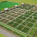 Organized Garden Landscape With Grid Planting Beds Green Vegetation Shade Canopies And Surrounding Trees
