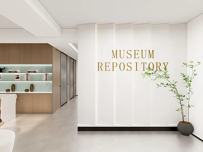 Modern Office Interior Featuring Museum Repository Sign Wooden Cabinets Display Shelves And Green Plant 3d model