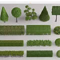 Various Pruned Shrub Shapes For Garden Landscaping And Green Hedge Design