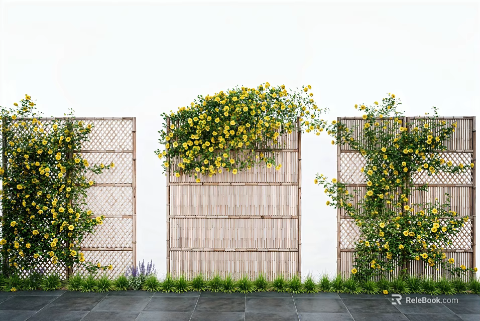 Vines With Yellow Flowers Climbing On Bamboo Screens Against White Wall And Stone Pathway 3d model 