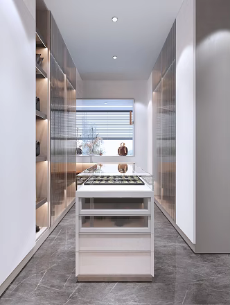 Light Luxury Cloakroom 3d model