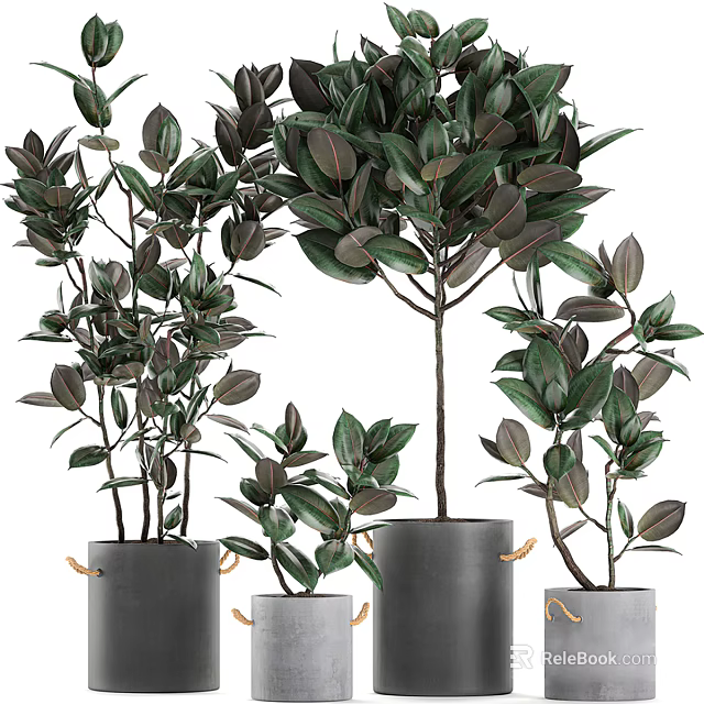 Lush Green Bonsai Potted Plants in Stylish Gray Ceramic Planters with Rope Accents 3d model 