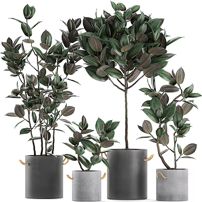 Lush Green Bonsai Potted Plants in Stylish Gray Ceramic Planters with Rope Accents 3d model