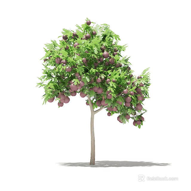 Arbor Tree With Lush Green Foliage And Purple Fruits In Healthy Growth 3d model 