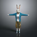 Cute Cartoon Rabbit Wearing Blue Cardigan White T shirt Camouflage Shorts Blue Shoes With Arms Outstretched