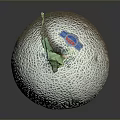 Fresh Whole Cantaloupe Melon With Netted Surface And Green Stem On Dark Background