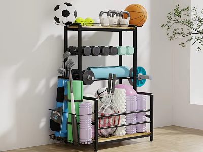 Fitness Products Sports Products Yoga Products Yoga Storage Rack Dumbbell Golf Club 3d model
