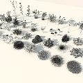 Diverse Collection of Colorful Flowers and Green Grasses with Various Shapes and Vibrant Blooms