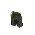 Modern Black Planters With Purple Blooms Green Foliage And Ferns