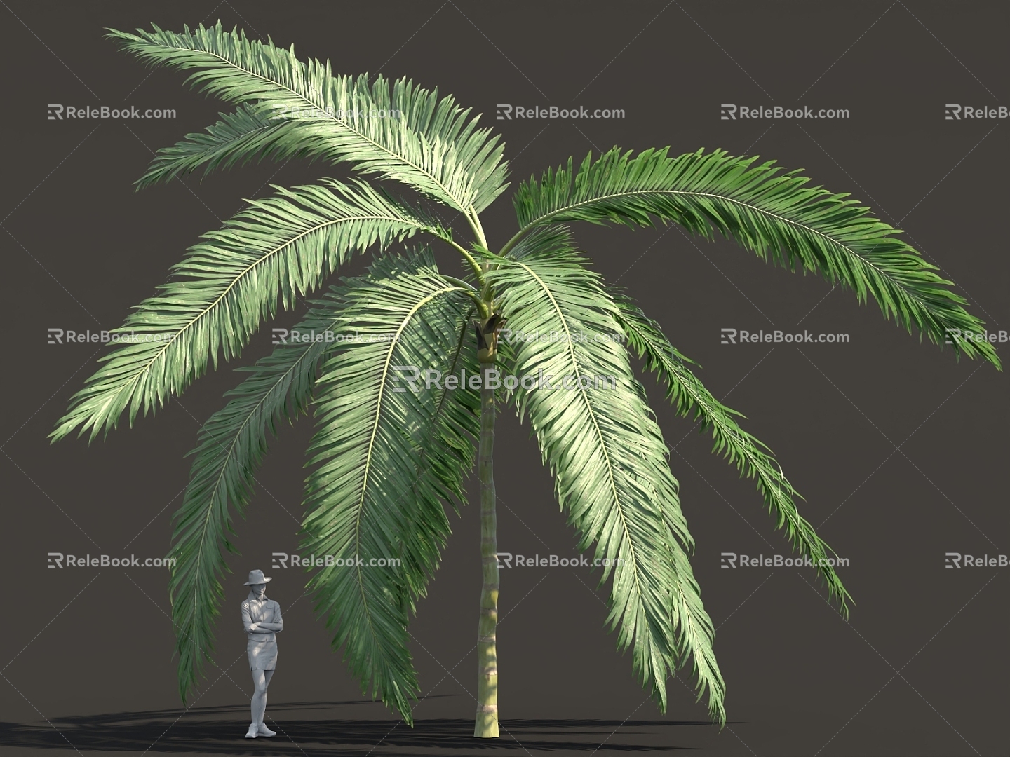 Fantasy Alien Plant Palm Shrub Tree 3d model