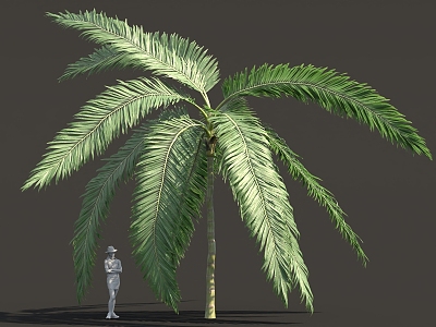 Fantasy Alien Plant Palm Shrub Tree 3d model