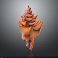 Vibrant Pink and Orange Tiered Tower Shaped Conch Seashell with Shiny Finish on Dark Background