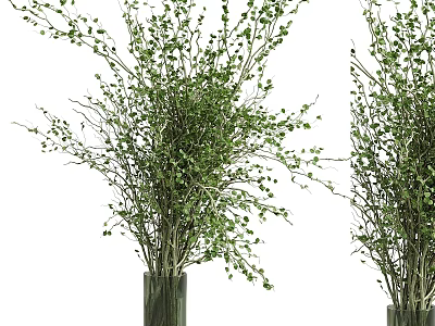 Decorative Ornament Set With Green Leafy Branches In Transparent Glass Vases For Interior Decor 3d model